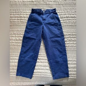 Everlane Barrel Jeans in Cobalt